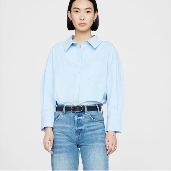 Anine Bing Mika Shirt in Blue Button Down Oxford Sz M - Picture 9 of 9